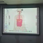 Interactive Whiteboard